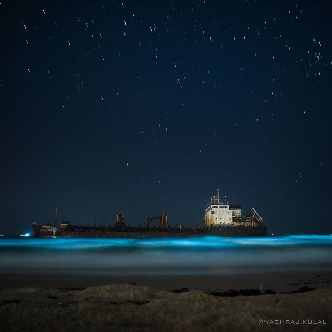 Bioluminescence makes Surathkal Beach turn radiant blue🌊

This natural phenomenon has been noticed since the last two days at Padukere, Sasihithlu and NITK Surathkal beaches.

(📸: Yashraj Kulal)
