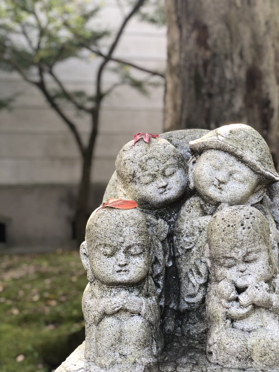 CC10822093's tweet photo. 術後18週目
普通に生活を送れてるからありがたい
仕事も支障なくできてるから最初の不安はなくなった
まだまだわかんないから気をつけないと
#変形生股関節症
#術後18週目
#棚形成手術 https://t.co/lxfrRKJVSa