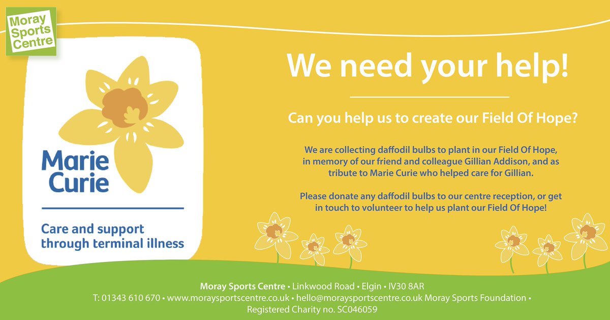 MoraySports's tweet photo. We’re hoping to plant a ‘Field of Hope’ but we need your help. If anyone has any daffodil bulbs that they are willing to donate, we would greatly appreciate this. Also, if anyone wants to come along and help us plant these, please get in touch 01343 610 670 https://t.co/9RFPZgKQ6w