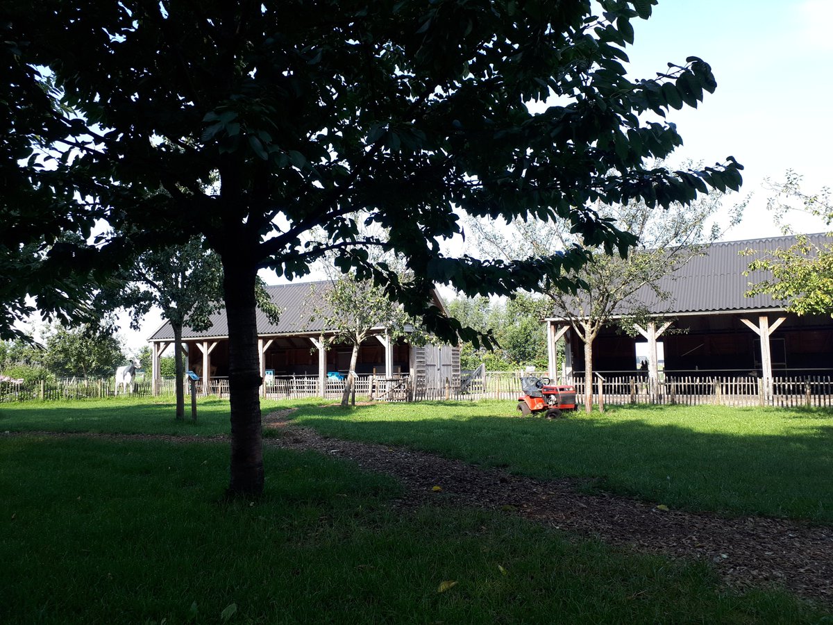De kinderboerderij is weer open! Elke woensdag tm zondag tussen 10 en 5 uur ben je welkom. Lekker uitwaaien bij de dieren. #coronaproof #Hilversum #Meent