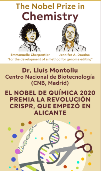 umhsapiens's tweet photo. 🚨¡Notición!🚨

El @IB_UMH organiza el encuentro #online 

'DivulgaNobel, Explicando los #NobelPrize 2020'

🗓️ 25 de noviembre a las 16h

Con @A_Sastre_Santos, @LluisMontoliu, Guillermo Bernabeu, y Esther Caparrós.

💻Toda la info, aquí: https://t.co/N7Tahl6Dim https://t.co/kN78XSJabr
