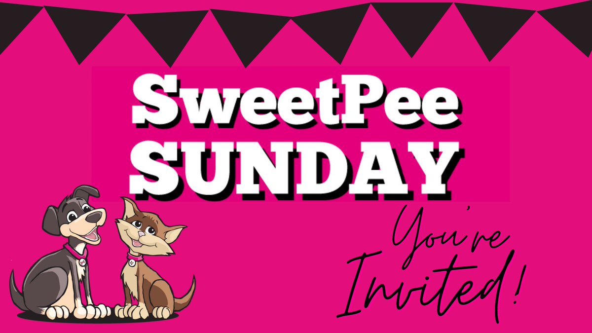 .
Forget Black Friday....... forget Cyber Monday......
SWEETPEE SUNDAY is where the real bargains are.
AND.......You're Invited!
When - Sunday 29th November 2020
Where - https://t.co/kgXLRC8TvN
Use code SUNDAY at the checkout
#dogs #cats #pets #Sunday #bargains https://t.co/bYfOearzQ9