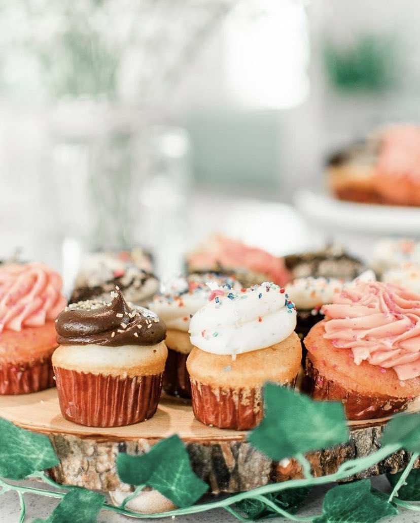 SweetByHolly's tweet photo. Last Monday before thanksgiving which is the perfect time to come to get your mini Monday deal 🥰
•
•
• Come on in to get your mini cupcakes for just $1 each 😋 
•
•
• 📸: @katherinewhitefieldphoto 
•
•
• #monday #mondaymotivation #mondaymood #mondayvibes #orlando #jax https://t.co/o7eXDfXmkU