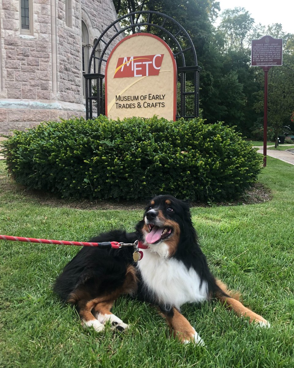 METCnj's tweet photo. Day 23 of #Museum30! Here at METC, we love our furry #companion and curatorial aussistant Arie! #museumpets #museumdogs https://t.co/CrqJvoOYk4
