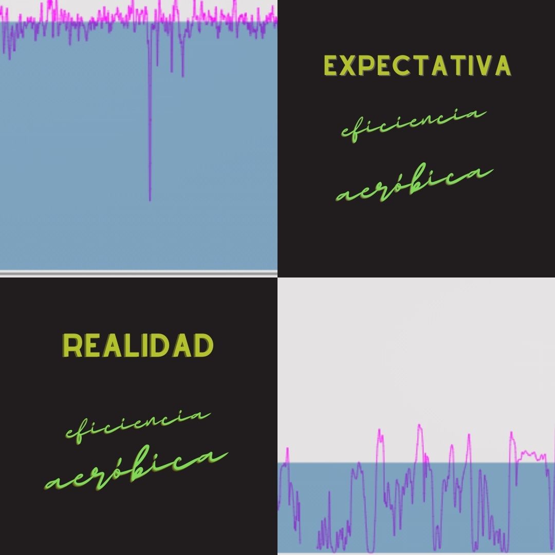 Jrentrenador (José Rodríguez) tweet media