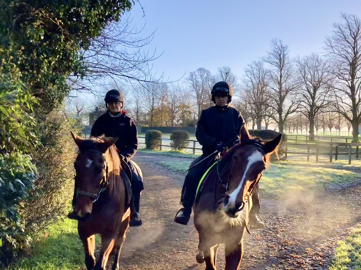 JohnWathenBerry's tweet photo. After all the wet days we’ve had @NewmarketGallop in recent weeks, more than happy to settle for it being a bit colder when we get sunshine like this #Delatite #DasKapital #TurnOfPhrase https://t.co/CQnnPJebQL