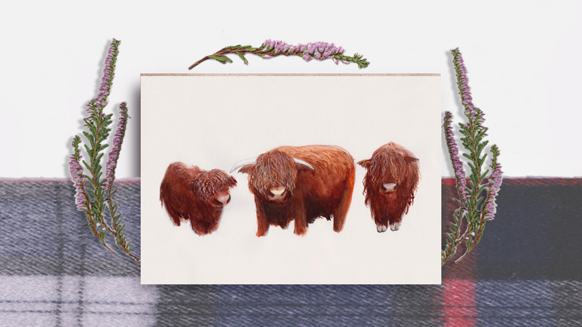 RobertstheRed's tweet photo. Woolly Christmas wishes- this hairy Highlanders card is perfect for animal lovers! Browse all my designs at: https://t.co/3JpWlNkmMt

@CreativeBizHr #CreativeBizHour #greetingcards #CreativeBizHour #CreativeHour #CCCTips #gift #cows #animals #Christmas2020 #illustration #art https://t.co/OCHDnn9yfL
