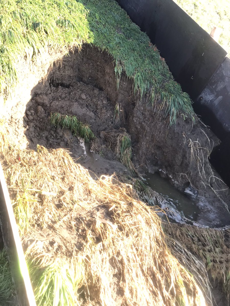 Polder2Cs's tweet photo. #testing of an #animal #burrough in good progress https://t.co/otMHxWe4VF