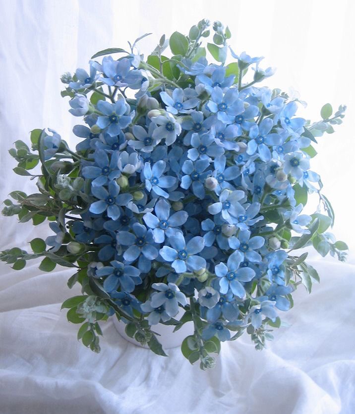 sevgilikendin's tweet photo. fazla güzelsiniz 💙 https://t.co/6sN3dQTLej