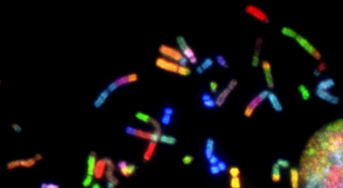 repositiveio's tweet photo. Major platform update! Two brand new, essential features have just landed on our Cancer Models Platform; a multiple gene filter and a gene variant filter.

Check out our latest blog post to find out more: https://t.co/e8UqsKC1vu
 #newfeatures #productdevelopment https://t.co/c9zdlQaTmI