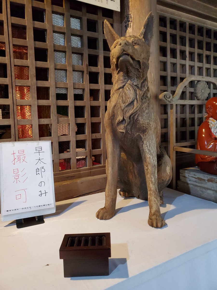 早太郎伝説 بحث في تويتر 早太郎伝説 بحث في تويتر