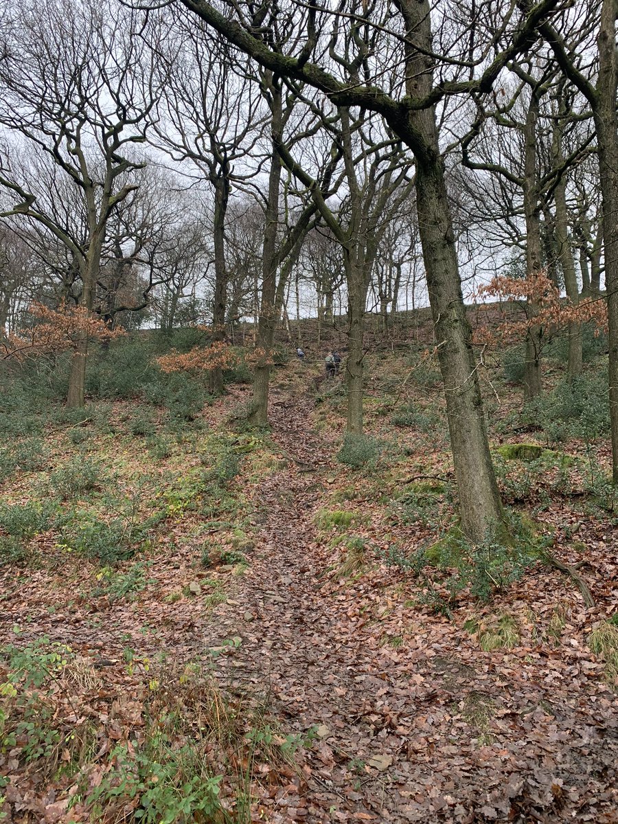 4_RLC_RTW's tweet photo. Taking advantage of the great outdoors area we are in and conducting MATT 5 Navigation training. #DDCRAPS #TRECH #LandNavigation #mils @4RegimentRLC @BdeSgtMaj101X @33Rlc @UKArmyLogistics https://t.co/EE8Lw8opQ3