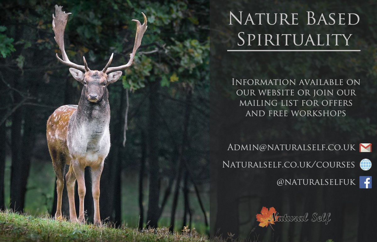 Due to the success of our first Nature Based Spirituality group, we are launching a second group class in the coming weeks. Please enquire for details.