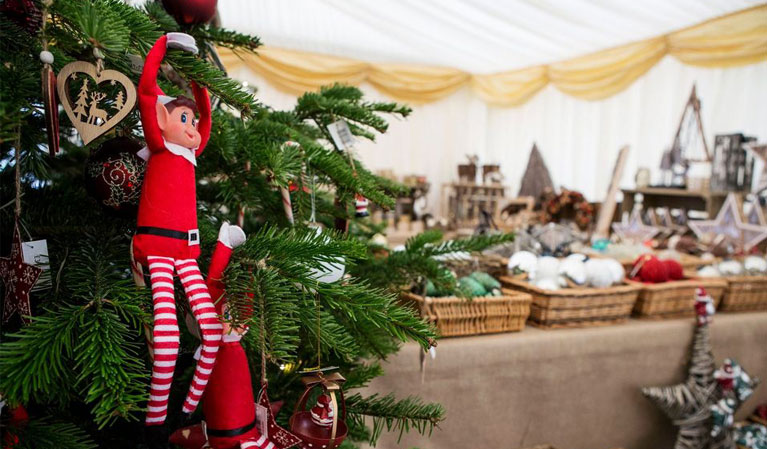 crootsfarm_shop's tweet photo. Come and choose your real, local premium Christmas tree from 28th November here at Croots!
Find out more at https://t.co/6pw6FqgD30
#realxmastree #derbyshiretrees #Christmas2020 https://t.co/92NPrY03Hy