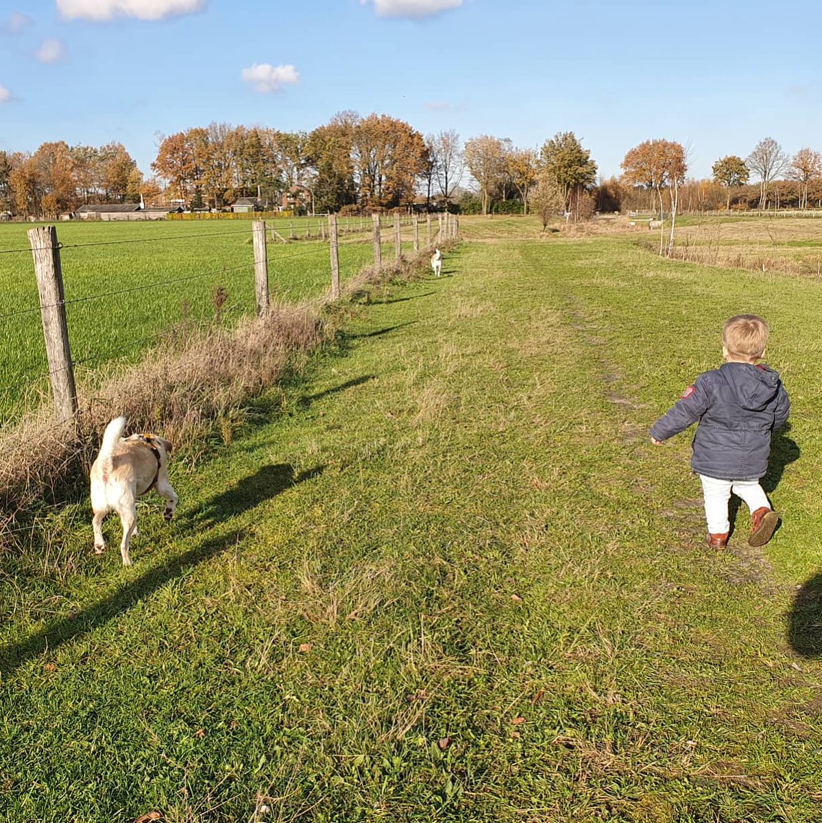 BasEnBobbie's tweet photo. Samen wandelen met onze kleine grote vriend 

Walk together with our little big friend

#wandelen #wandeling #samenwandelen #kleinegrotevriend #grotevriend #broertjes #walking #walk #walktogether #littlebigfriend #bigfriend #brothers #rescuedog #rescuedogs https://t.co/1Tz2IeQpQx