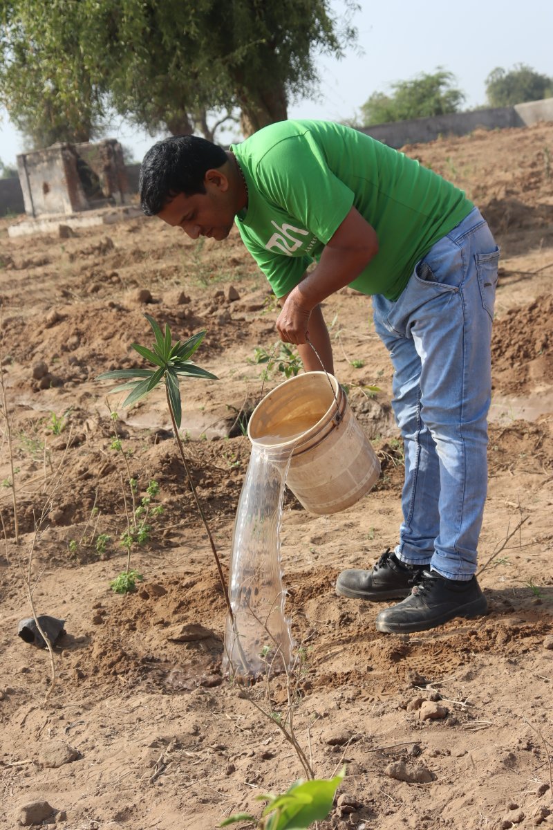 o2hgroup's tweet photo. We are pleased to share that the o2h group has accomplished its goal of planting ten thousand trees across various regions of Gujarat in collaboration with VSSM and The Ahmedabad Project.
Read full press release - https://t.co/UvlNjsovS0
#o2hcommunity #sustainabledevelopment https://t.co/3lne2oF7pM
