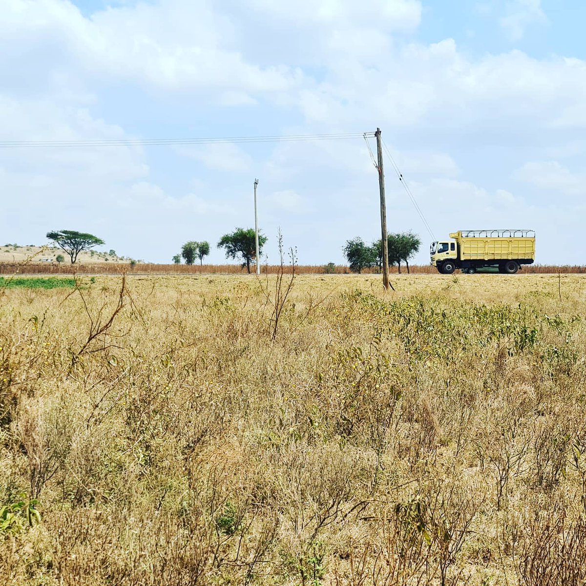 ArkbridgeP's tweet photo. This expansive 50 Acres of land is available #forsale in Emali along the Emali-Loitoktok Road
Selling at Ksh. 850K per Acre
βοΈ 0733 888378
π§ sales@arkbridgeproperties.co.ke
#Prime
#Land
#forsale
#InvestWithUs
#Subdivide
#Farm
#mondaythoughts https://t.co/1SNPdi8tmW
