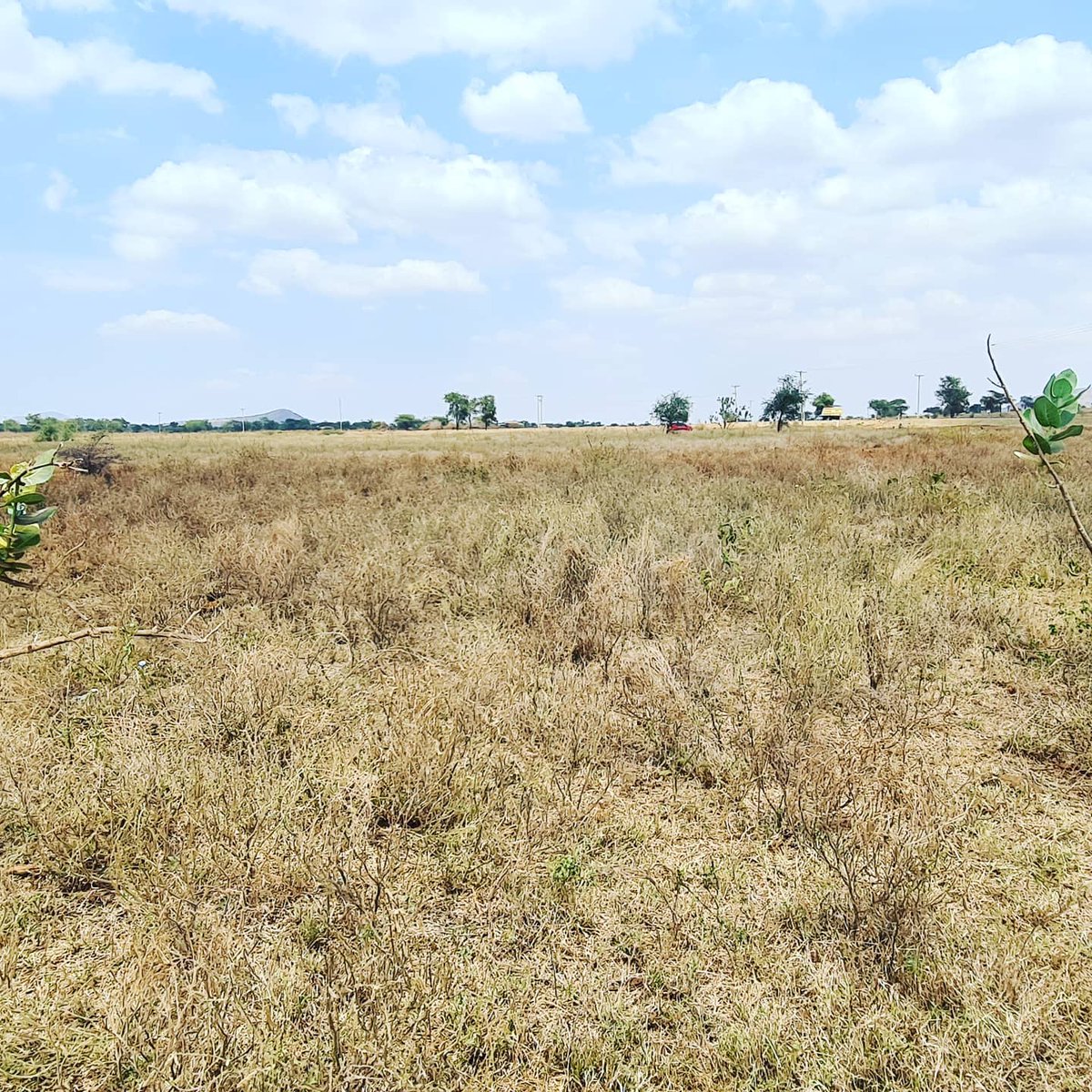 ArkbridgeP's tweet photo. This expansive 50 Acres of land is available #forsale in Emali along the Emali-Loitoktok Road
Selling at Ksh. 850K per Acre
βοΈ 0733 888378
π§ sales@arkbridgeproperties.co.ke
#Prime
#Land
#forsale
#InvestWithUs
#Subdivide
#Farm
#mondaythoughts https://t.co/1SNPdi8tmW