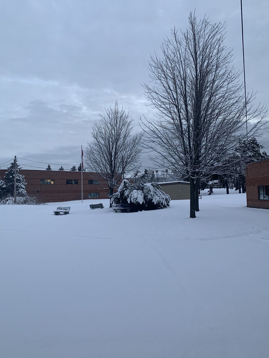 Matt Johnston (@mrj_tdsb) on Twitter photo I spent a few minutes enjoying the beauty of nature <a href="/dmhsps_tdsb/">Dr. Marion Hilliard Sr PS</a>. Great way to start the week. #winterwonderland #hilliardpride <a href="/tdsb/">Toronto District School Board</a> <a href="/LC3_TDSB/">TDSB LC3</a> I spent a few minutes enjoying the beauty of nature <a href="/dmhsps_tdsb/">Dr. Marion Hilliard Sr PS</a>. Great way to start the week. #winterwonderland #hilliardpride <a href="/tdsb/">Toronto District School Board</a> <a href="/LC3_TDSB/">TDSB LC3</a>