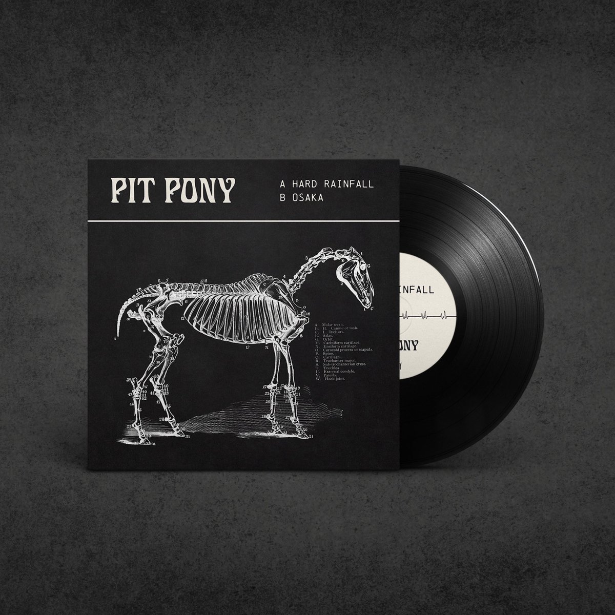 Chuffed to announce that Hard Rainfall will be available on 7” vinyl.
Limited to 100 copies, our first physical release will be backed with our first ever single ‘Osaka’ on the b-side. Pre-orders will open this Friday 27 Nov via our <a href="/bandcamp/">bandcamp</a> page &amp; we urge you to be quick x