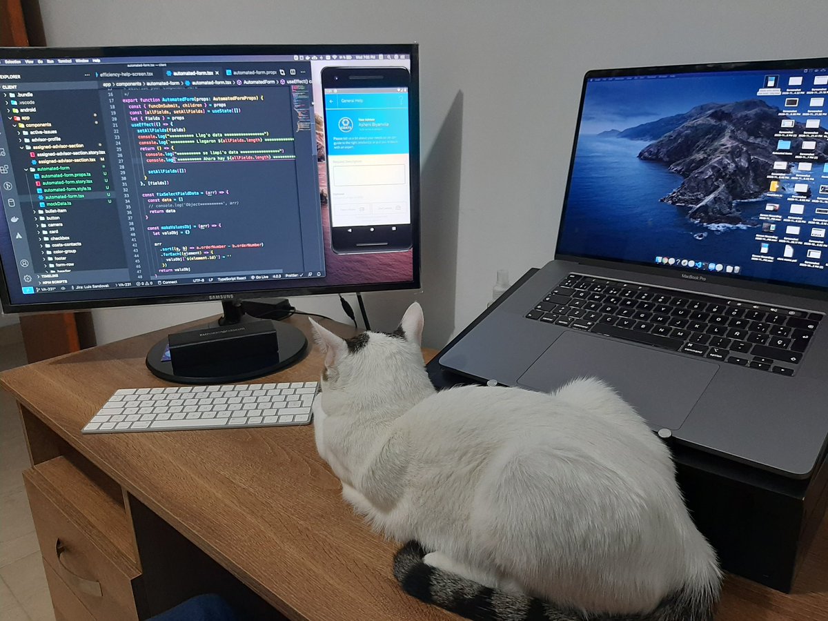 Pair coding with my son/pet