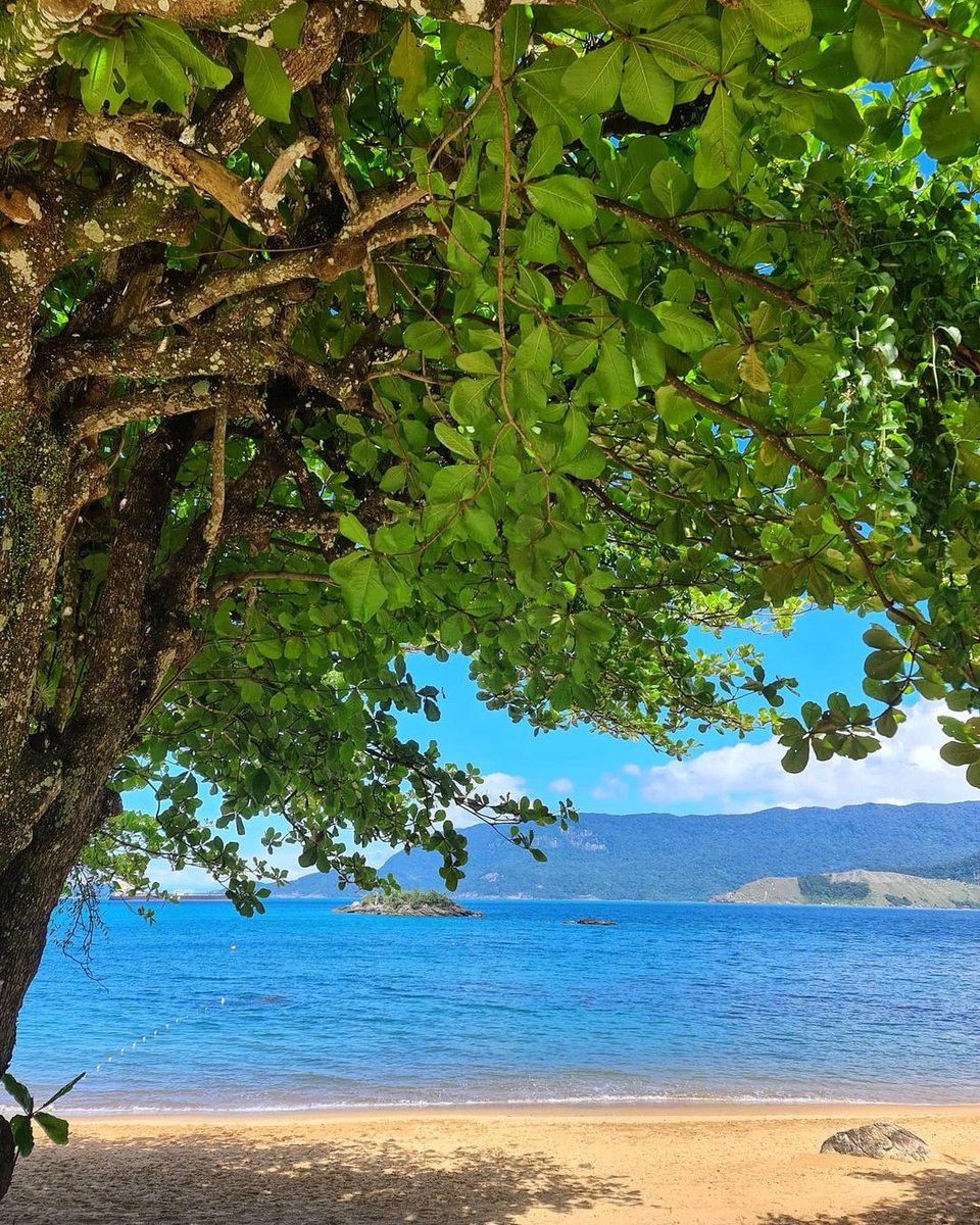 InfoGLR's tweet image. Aparentemente as gravações de Temporada de Verão se iniciaram ontem. O elenco estava nessa praia. Ansiosos? 🏝