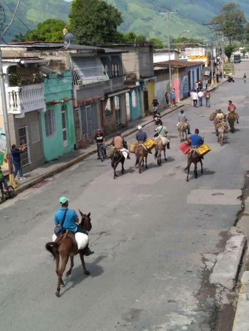 Aquí te mando tu #FelizCumpleanosNicolas, la gente en burro cargando leña para cocinar, porque no hay gas ni gasolina. HDP.