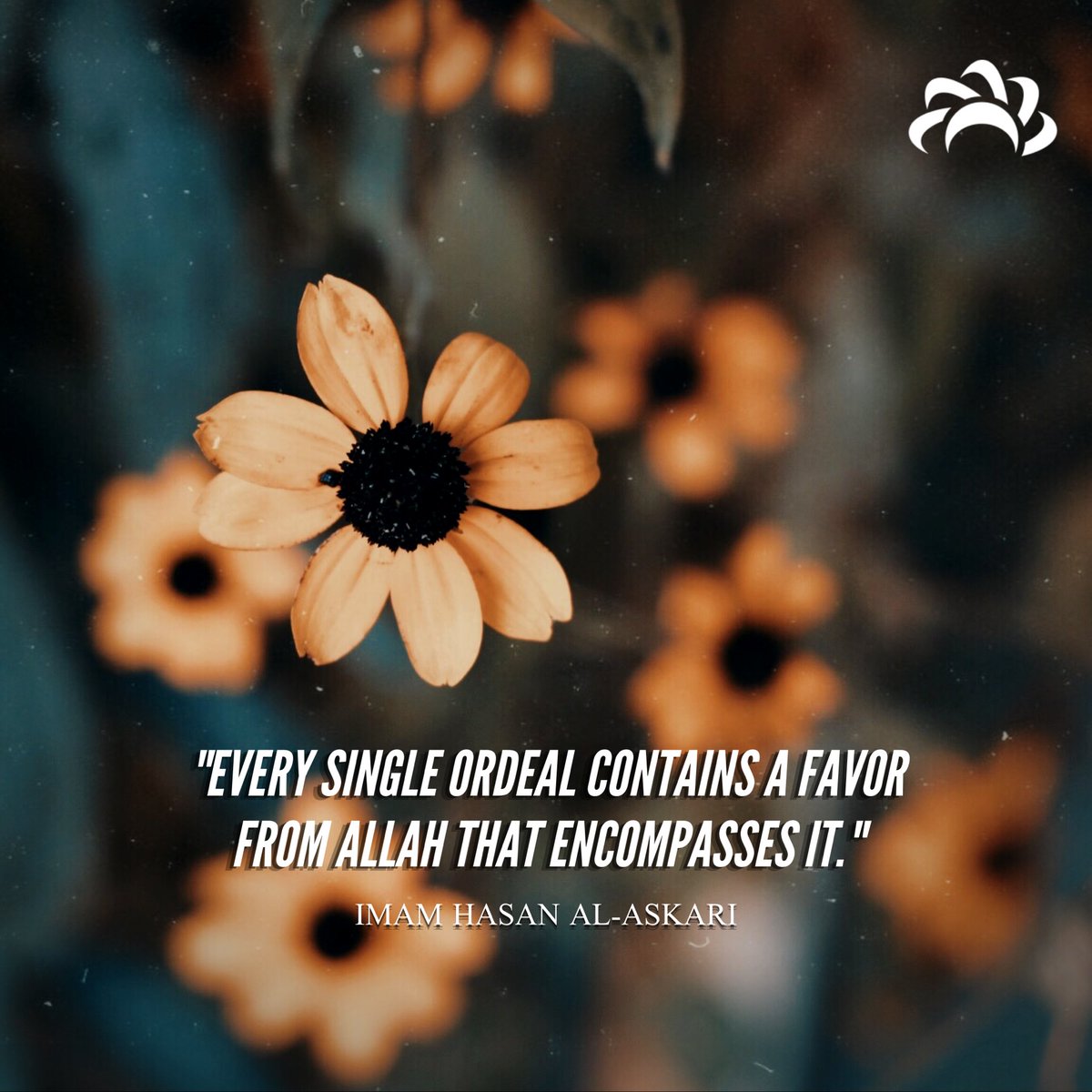 AhlulbaytTV's tweet photo. "Praise be to Him Who makes praise followed by bounty and bounty with gratefulness. We praise Him on His bounties as on His trials.” 

- Imam Ali, Sermon 114 of Nahjul Balagha. https://t.co/hP22blUHri