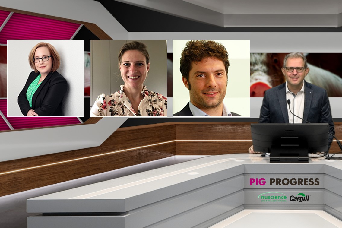 vincenttb's tweet photo. Last week was intensive with 4 @PigProgress webinars! Pleased to share them with you. The webinar about Weaning is now available for viewing, with contributions by Dr Casey Bradley (@sunswine77), @Cargill and @Nusciencegroup. Read more ⏩ https://t.co/taNzI4PeEL https://t.co/pY54r3Tdpr