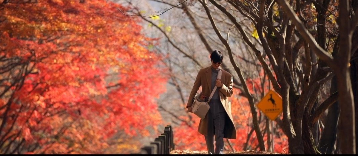 chanelstann's tweet photo. I think we can all say that Autumn is his favorite season? 🍁 

#LastFall https://t.co/bbvYkUNbOb