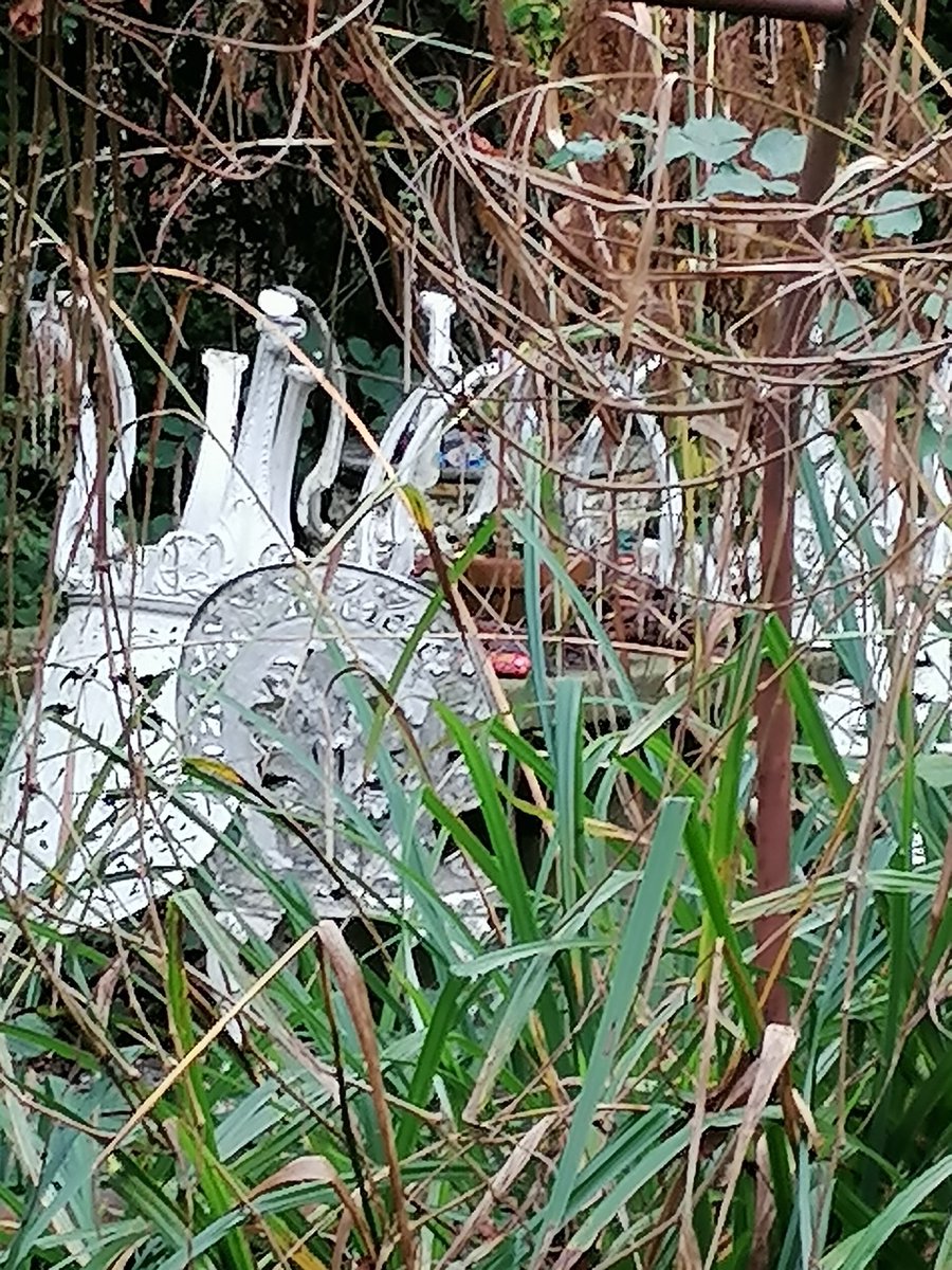 brokenviolin83's tweet photo. #HighWindows #PhilipLarkin 
Looking abit overgrown @PLSoc is there still plans for AirBnB ? https://t.co/9s4no8x75O