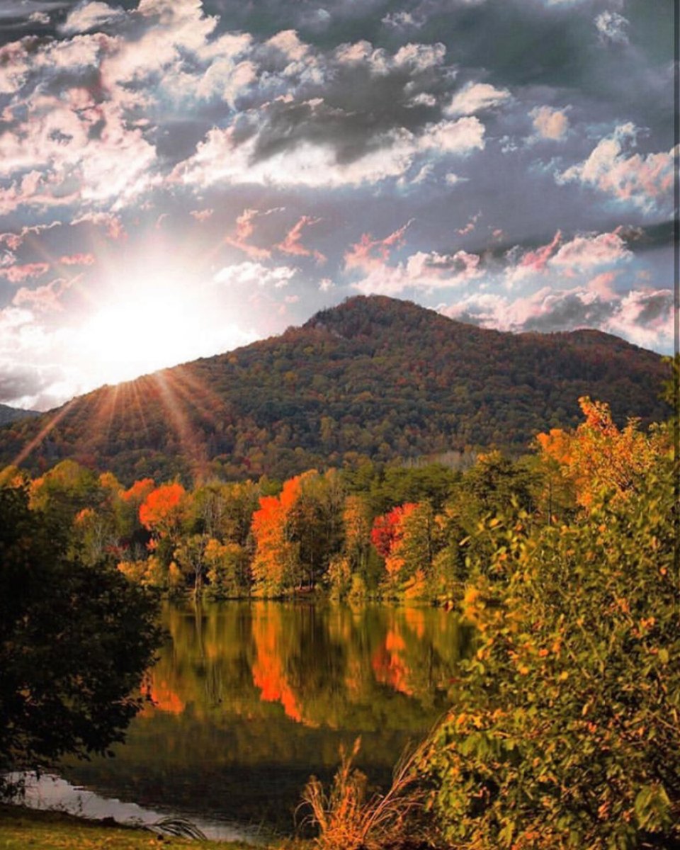 YelpNashville's tweet photo. #sundayvibes 🌅
​.
​@covelakestateparktn @tennesseestateparks
​.
#funandadventure #yelp #yelpnashville #tennesseestateparks #tennessee #tennesseelife #madeintn #onlytennisee #explore #yelpnashville https://t.co/DPtwY1mlbK