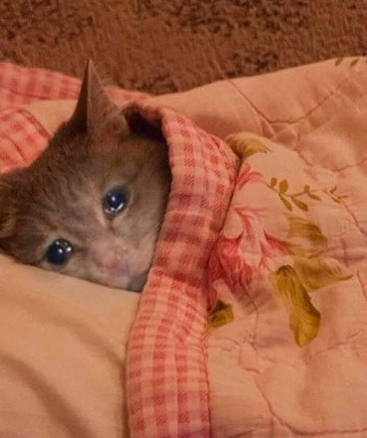 shafiradfb's tweet photo. Baru sadar tahun ini banyak nangis drpd tahun sebelumnya, ya gmn emg sedih bgt wkwk https://t.co/zB8M0li0hJ
