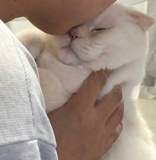 L_kuanlin2001's tweet photo. มันหมีอยั่กชงนม ตบตูดหนูนอนจัง//ฮือออ ลูกน่ารักม่ะหว้ายย #ppkritt #FantopiaxBKPP https://t.co/t7VcR1osTo