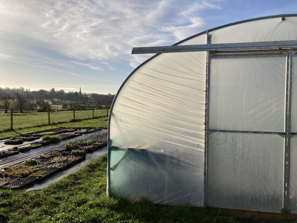 plantwild's tweet image. After a frosty start it’s been a lovely morning at Plant Wild today - perfect for our Autumn jobs outdoors 😊 #autumngardening #Novemberdays #nurseryworker #wildflowerlife