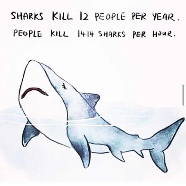 Zero Plastic tweet media