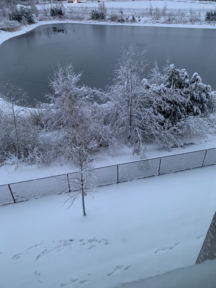 payagirl's tweet photo. It’s so pretty ❄️☃️ #firstsnowfall2020 #beautiful #snow #stayathome https://t.co/tc4QGAUrxs