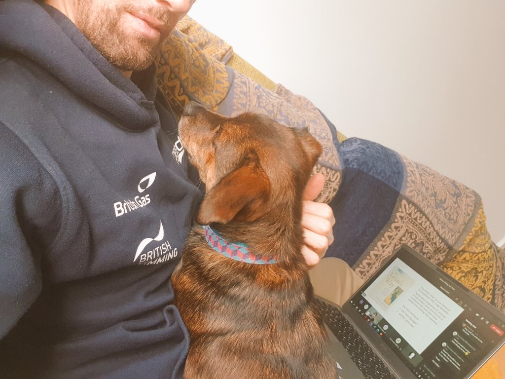 Cole_Therapy_Ed's tweet photo. #WorkingFromHomeWithPets https://t.co/BMvRP5YuuQ