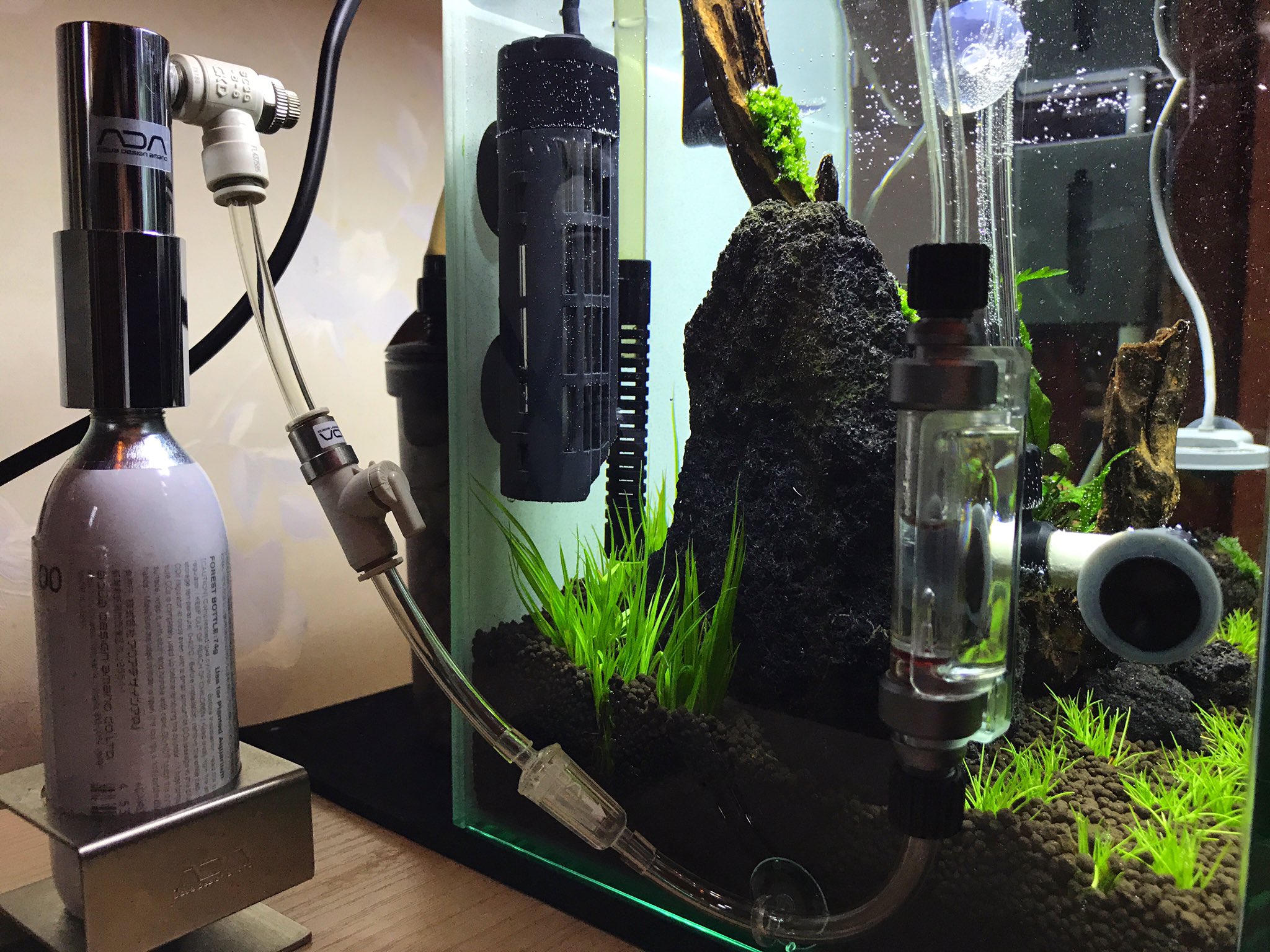 Sachi シペルス ヘルフェリー 成長すれば長くなるので 後ろの器具がいい感じに隠れるのかなと T Co Scazsrbqtc Twitter Sachi シペルス ヘルフェリー 成長すれば長くなるので 後ろの器具がいい感じに隠れるのかなと T Co Scazsrbqtc Twitter