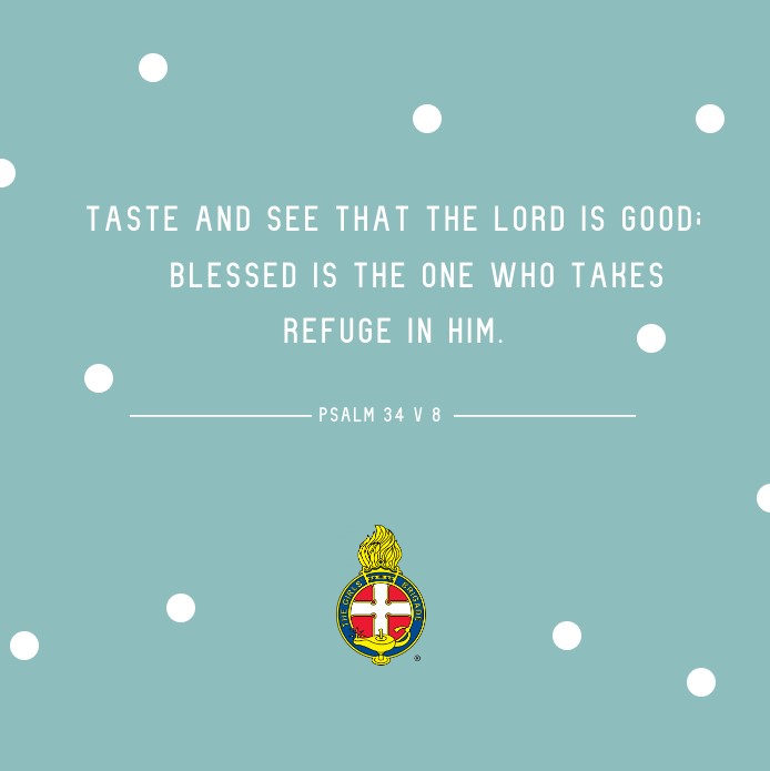 GBNI's tweet image. This evening we can praise God for His goodness to us. Despite our circumstances we can find refuge in Him. #gbni #psalms #Bibleverse #hope #goodnessofGod #encouragement #refuge