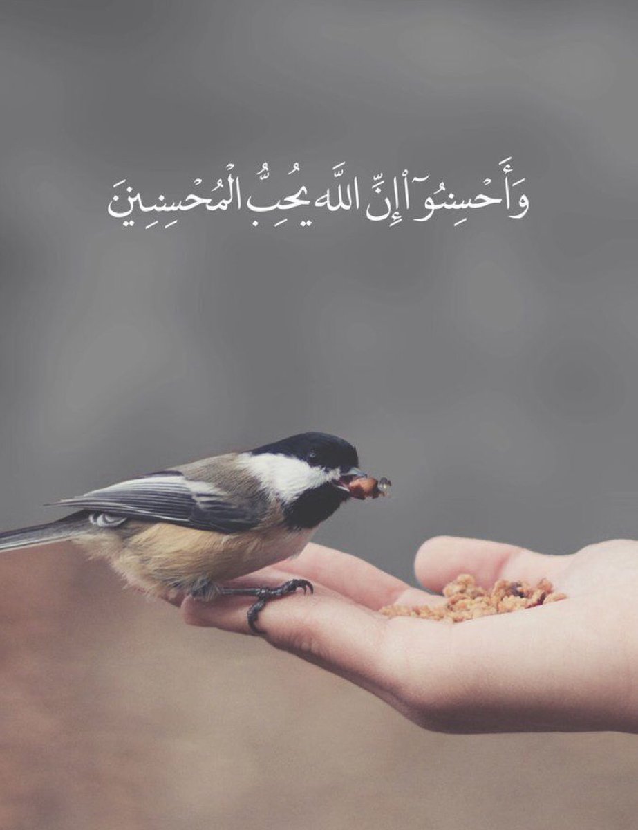 oof_wait's tweet image. #فضل_الصدقة