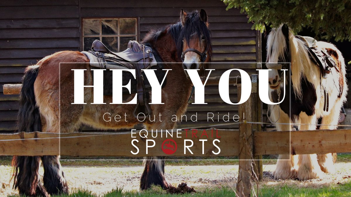 EquineTrail's tweet photo. It is all about FUN and FRIENDS in 2020 &amp; 2021!
Event Calendar - https://t.co/Etb2wV7UDi
#EquineTrailSports, #obstacles, #CompetitiveTrail, #trailrides https://t.co/7xybx3Rigv