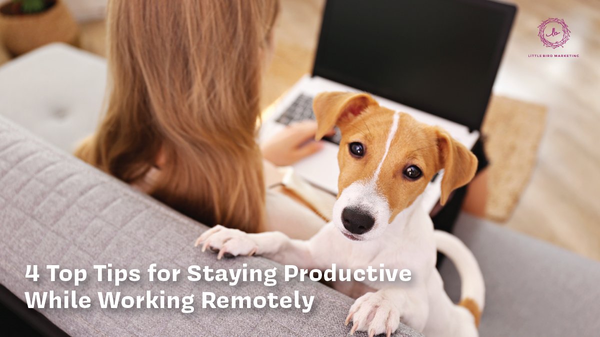 LittleBirdMktg's tweet photo. The transition to working remotely doesn’t need to be difficult.
Here are 4 of @LittleBirdMomma's top tips for staying productive while working from home: https://t.co/poXVLCoePw
#LittleBirdMarketing #NotesFromTheNest #MarketingTips #InboundMarketing https://t.co/hvM3aScwxc