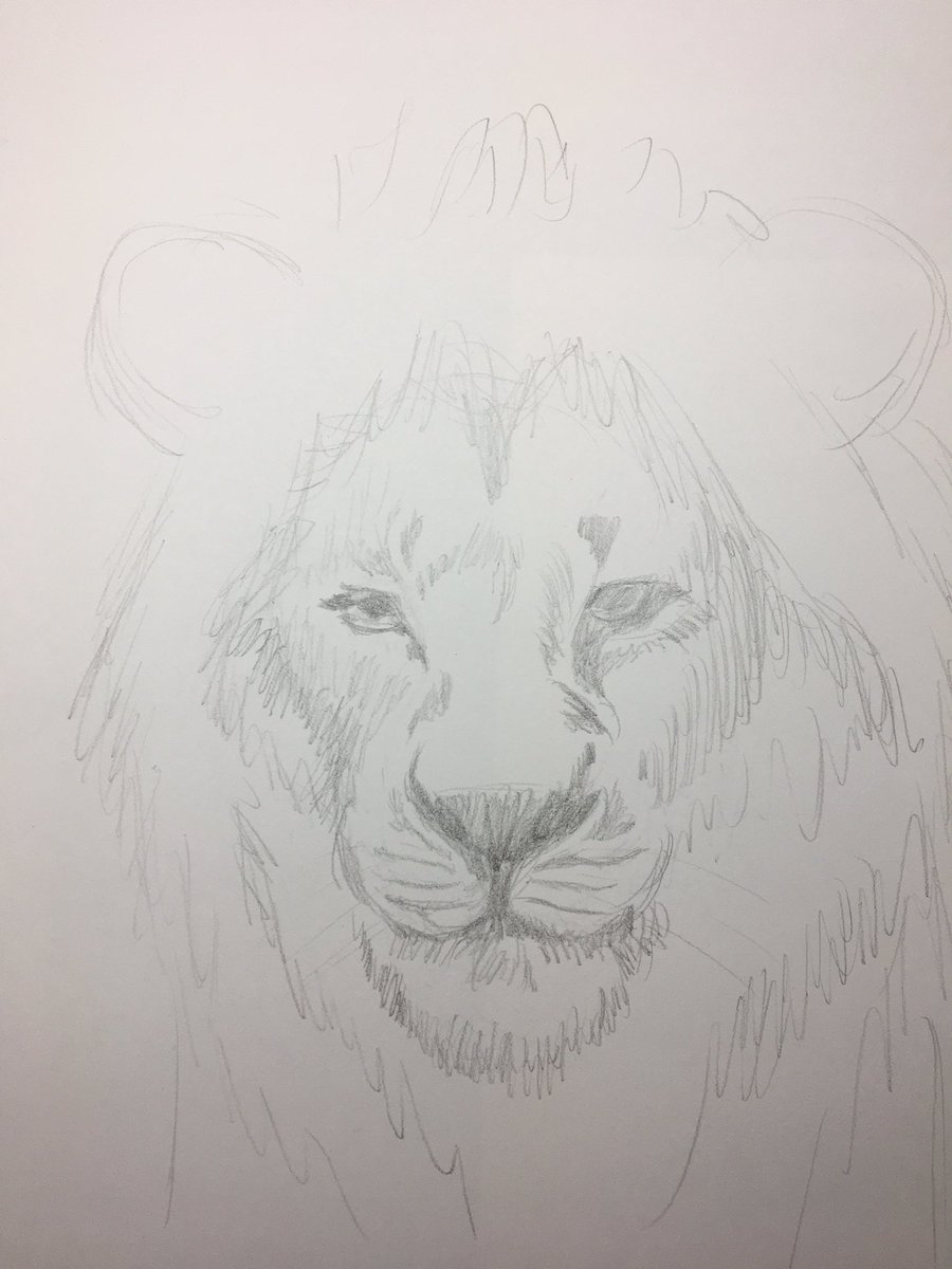 aaannju's tweet photo. ディズニーキャラが描きたくなってシンバ描いてみた️🦁✍ https://t.co/YUNwghAM68