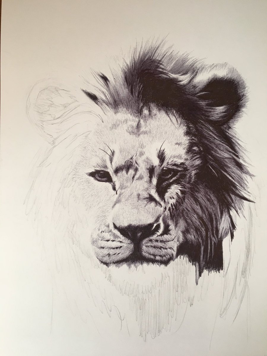 aaannju's tweet photo. ディズニーキャラが描きたくなってシンバ描いてみた️🦁✍ https://t.co/YUNwghAM68