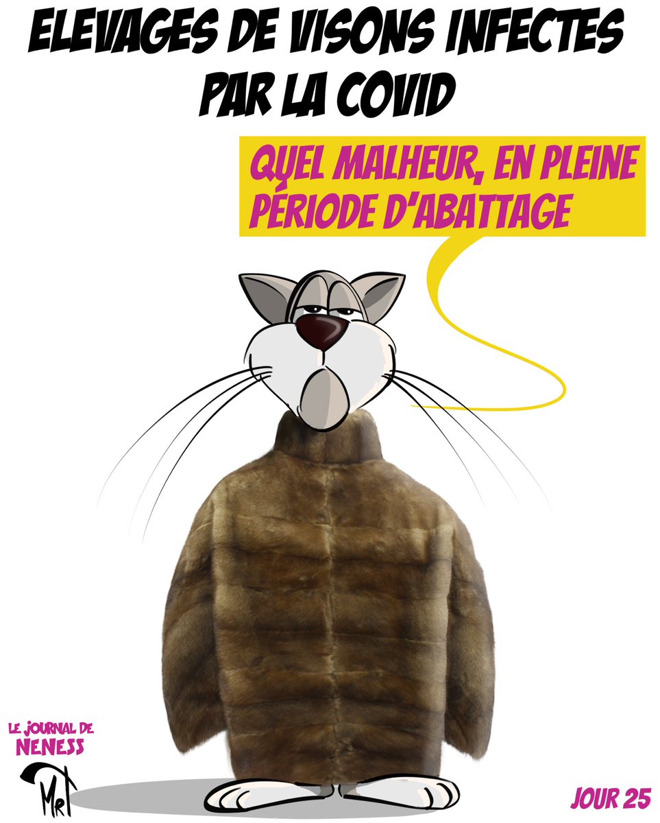 CartoonsMrt's tweet photo. #Visons #Fourrure #covid #COVID19 #vegan #neness #DessinDePresse #dessin #chat #drawing #cartoon #chatoon https://t.co/TLrdJ9Sra7
