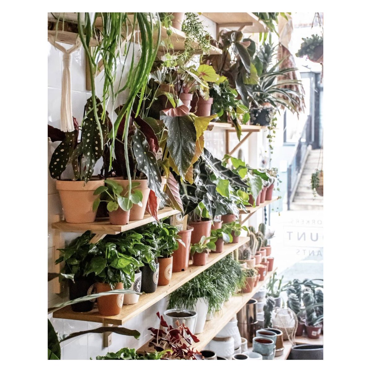 The Maverick Guide tweet media