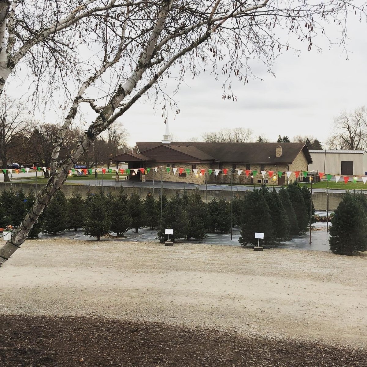 Taylor DECA tweet media