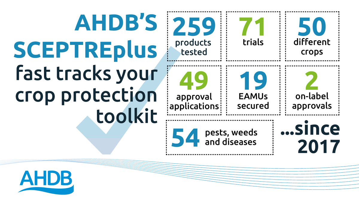 Did you know that since 2017 <a href="/TheAHDB/">AHDB</a>’s #SCEPTREplus programme has tested over 250 products on 50 crops across 71 trials in sustainable plant production product research? To find out more: ow.ly/pkn450CiYvk  #horticulture #growers #research #sustainableplantproduction
