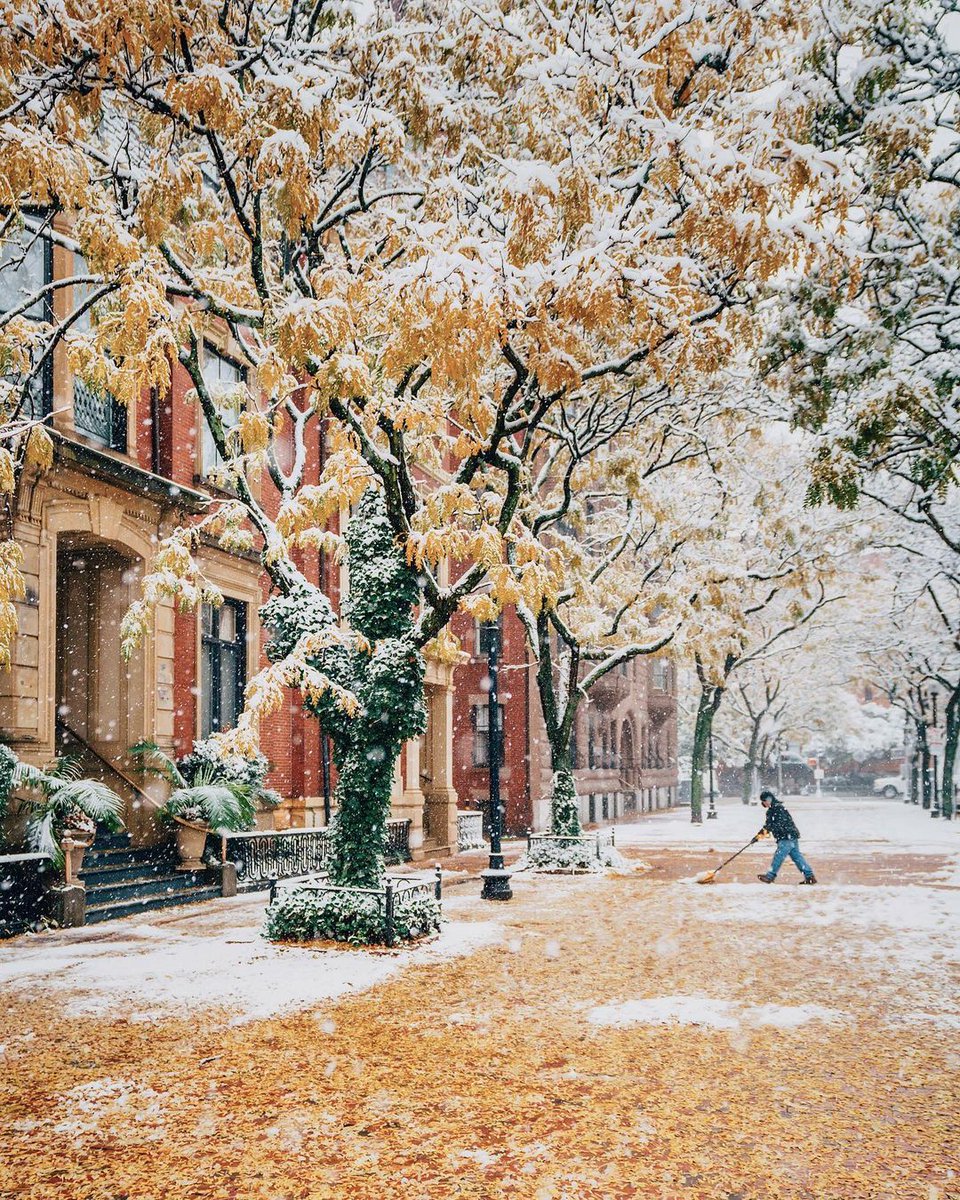 gorgeous_pix's tweet photo. "Early snowfall in Boston, Massachusetts. From u/ManiaforBeatles on /r/mostbeautiful #earlysnowfall #massachusetts #boston #mostbeautiful" https://t.co/L1GVz6qwbP